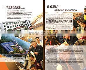 Jiangxi Kinying Industrial Co., Ltd. company overview - view 1