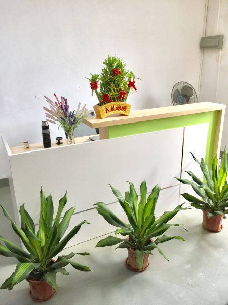 Shenzhen Baishun Xin Electronics Co., Ltd. company overview - view 4