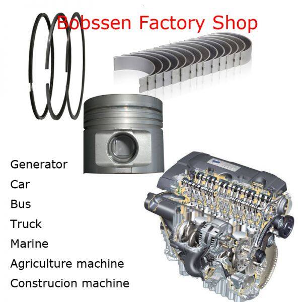 Jiangxi Bobssen Auto Parts Co.,ltd company overview - view 2