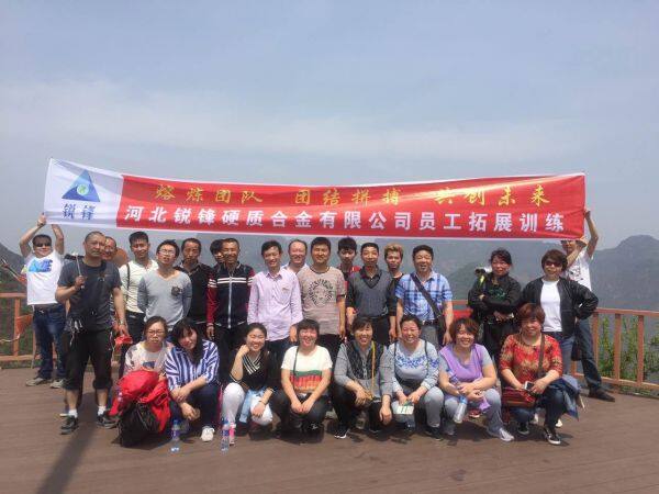 Hebei RuiFeng Cemented Carbide Co.,ltd company overview - view 2