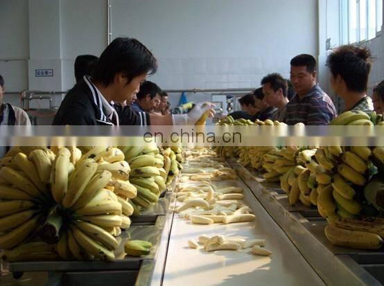 full plant plantain banana powder making machines