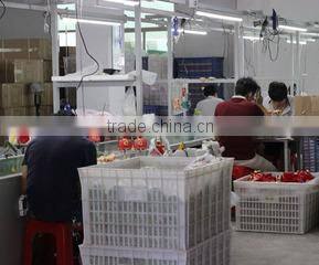 Shantou Chenghai Meizhongtai Toys Factory company overview - view 2