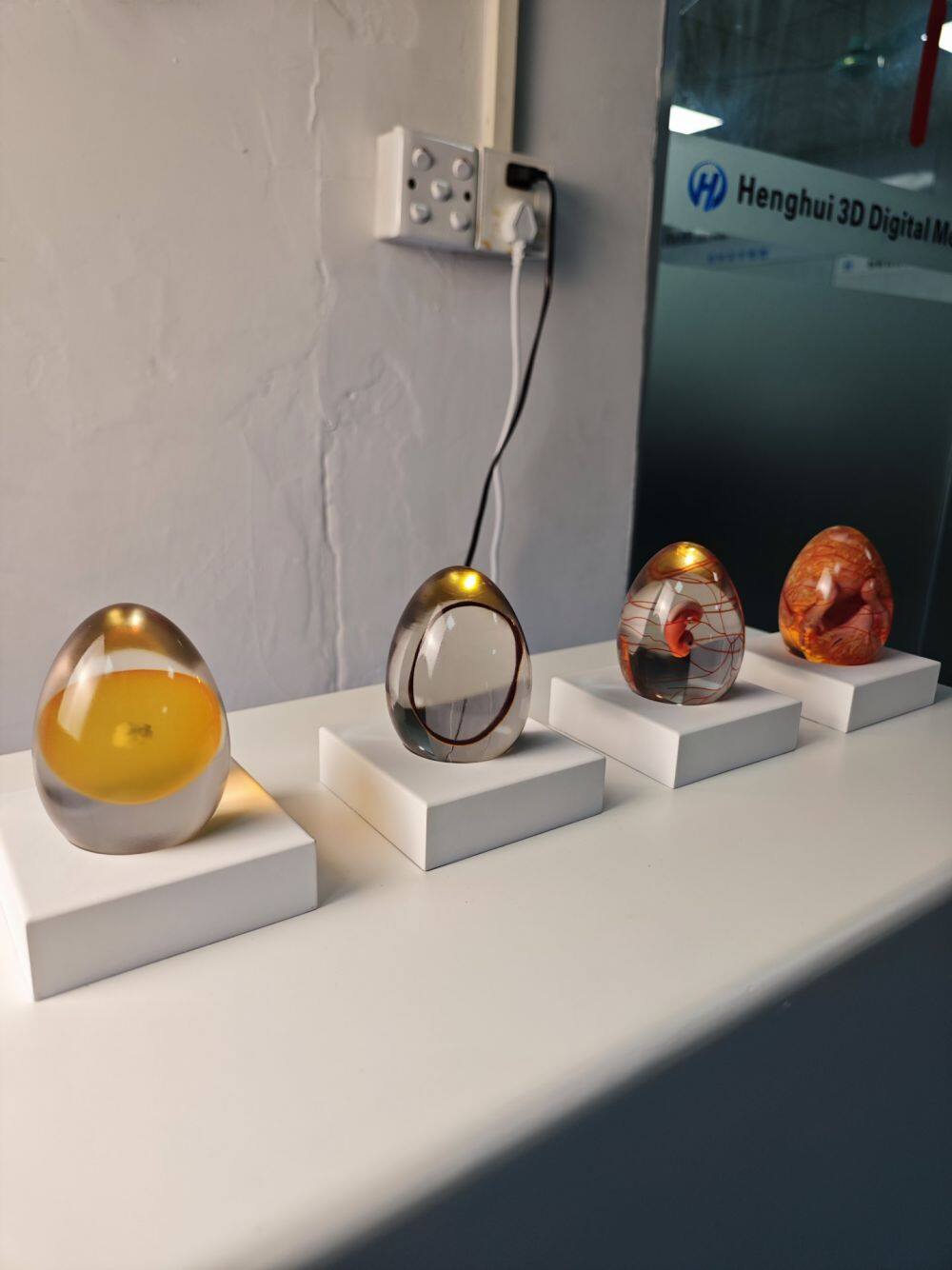 鸡蛋孵化演示过程模型 (4)