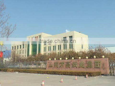 Shandong Wanhao Paper Group Co., Ltd. company overview - view 1