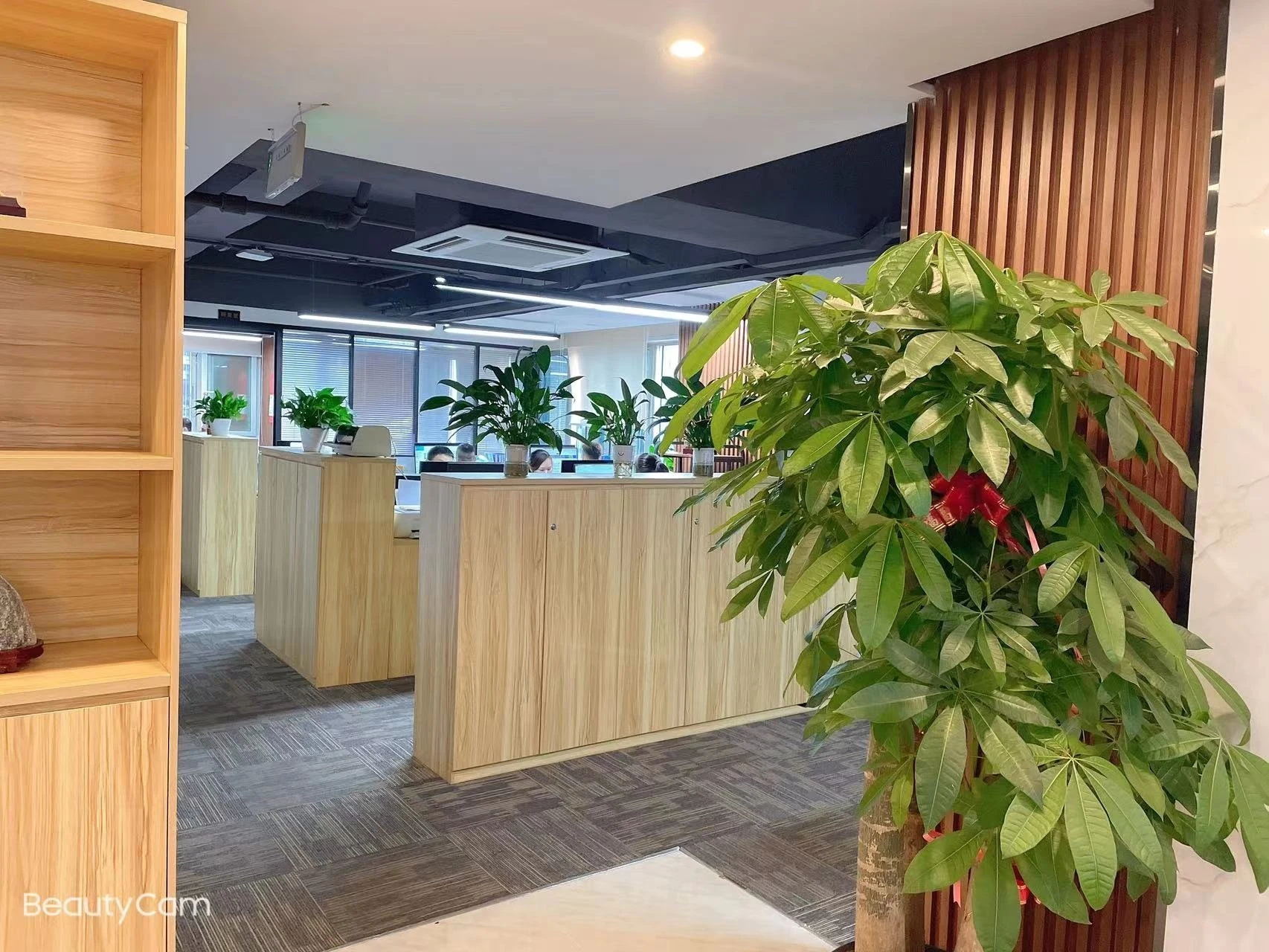 Shenzhen Tianchuang Microelectronics Co. company overview - view 1