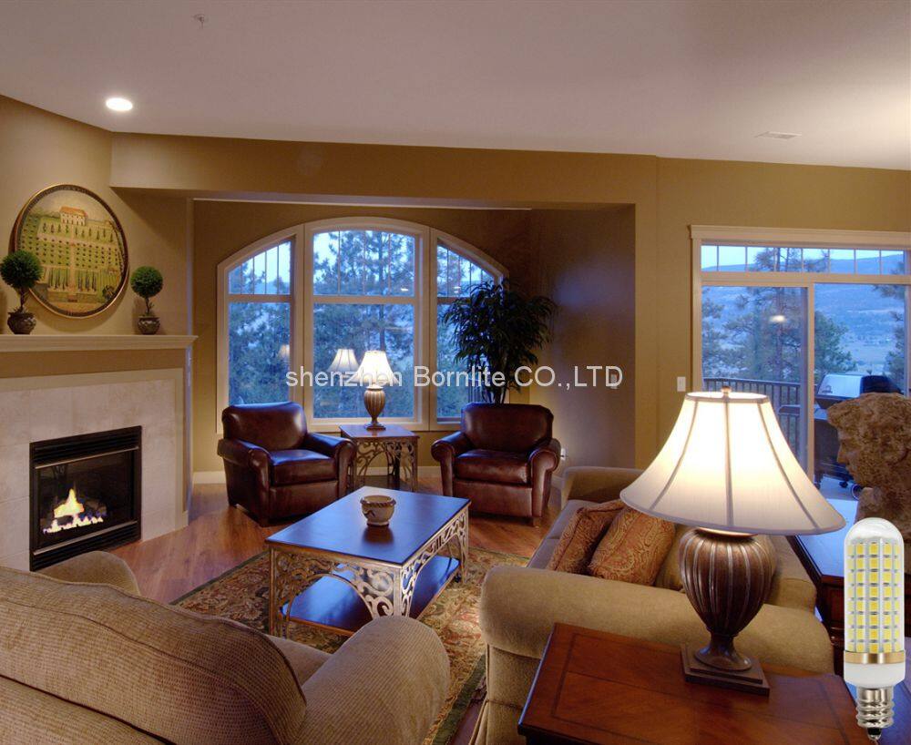 E12 led bulb daylight white application