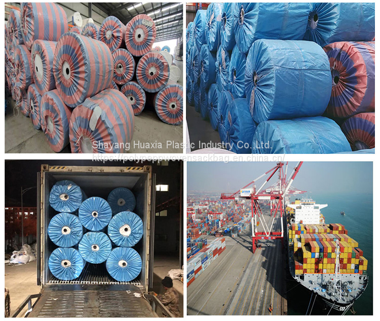 QQ图片20230912192613