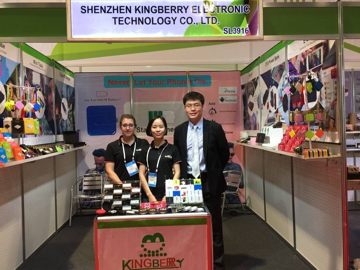 Shenzhen Kingberry Electronic Technology Co., Ltd company overview - view 2