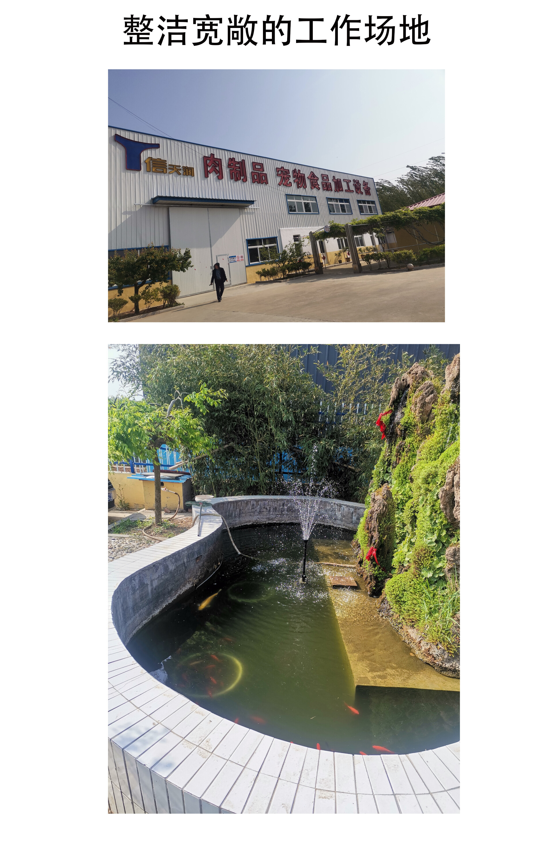 Zhucheng Tianrun Industry & Trade Co., Ltd company overview - view 3