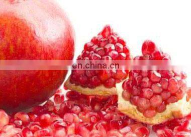 Pomegranate crushing & seeds collection seeds arils separator deseeder peeling machine/pomegranate processing machine