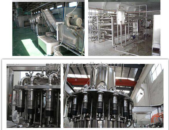 Manufacture Factory GYX-1000 Milk Juice Beverage Ice Cream Combined Processing Line