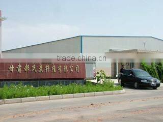 Hao Shi Carbon Fiber Co., Ltd. Gansu company overview - view 1