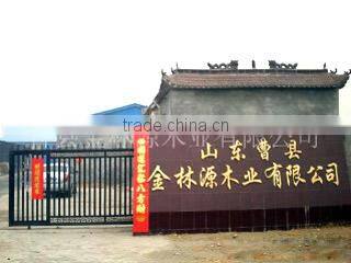 Cao County Jinlinyuan Wood Industry Co., Ltd. company overview - view 1