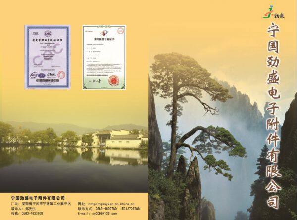 Ngjsdzfjyxgs company overview - view 2