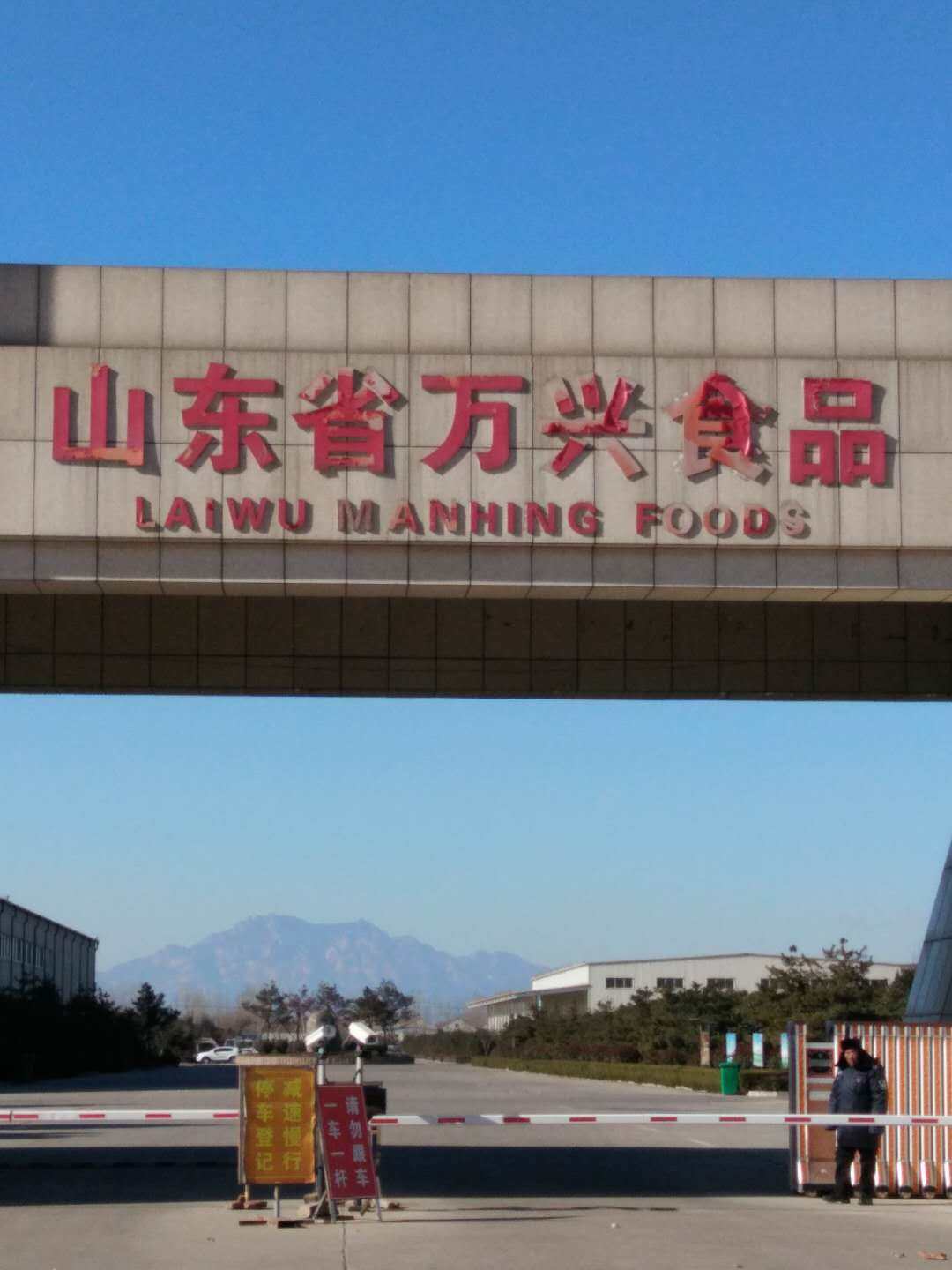Laiwu Manhing Vegetables Fruits Corporation company overview - view 2