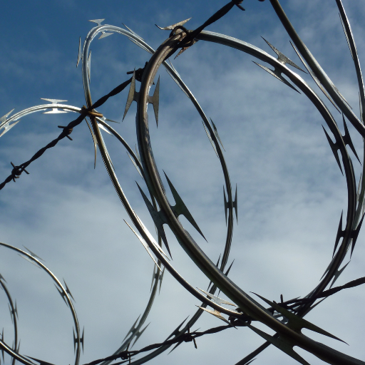Razor wire (2).png