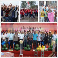 Hebei Shuangxing Seed Co., Ltd. company overview - view 2