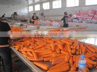 Qingdao W.R.Y Industry Trading Co., Ltd. company overview - view 1