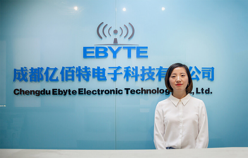 Chengdu Ebyte Electronic Technology Co.,Ltd company overview - view 1