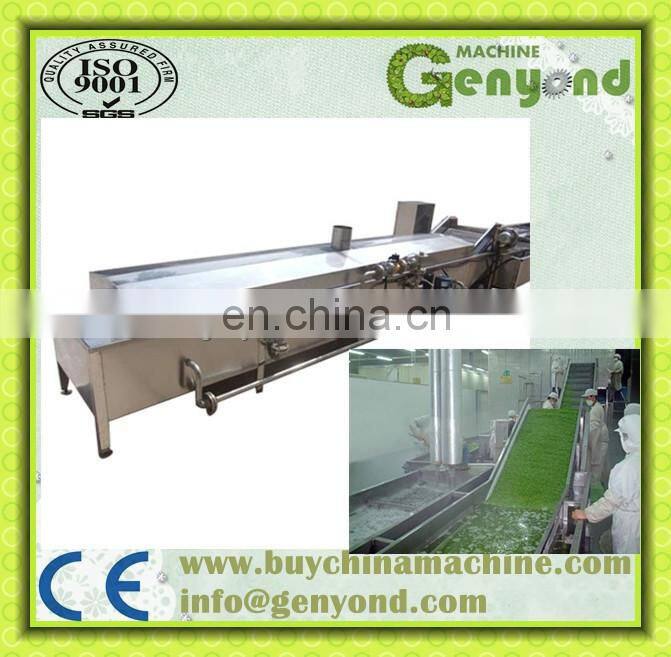 High Efficiency Potato Chips Blanching Machine with Good Price