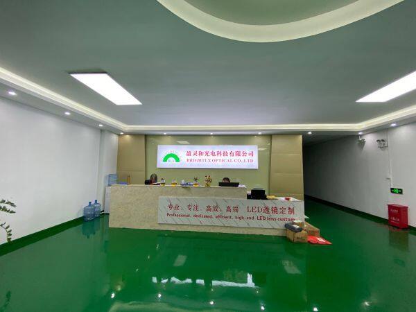 Brightlx Ltd company overview - view 1