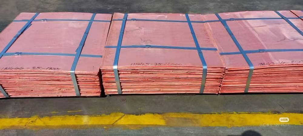 微信图片_20250730122355_20