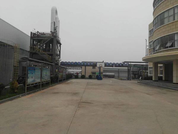 Shijiazhuang BSY Industry & Trade Co., Ltd. company overview - view 1