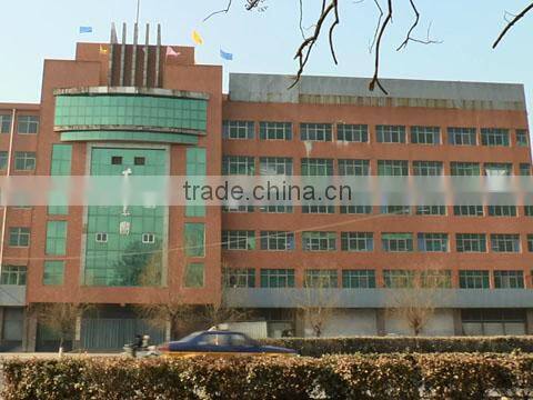 Dayu Group Co., Ltd. company overview - view 1