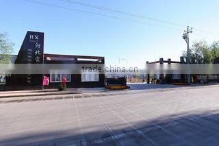 Hebei Baoxin Bearing Manufacturing Co., Ltd. company overview - view 2