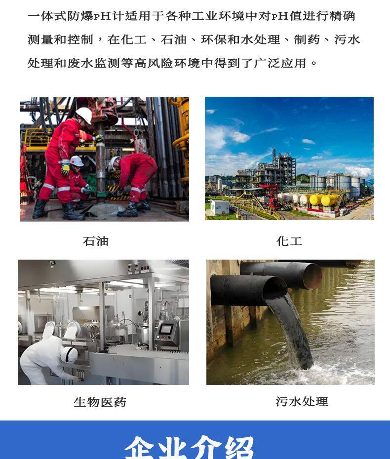 一体式防爆pH计-1_05