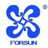 Forsun Wrought Iron Co.,Ltd.