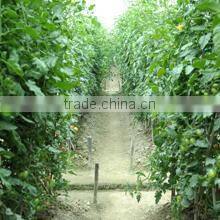 Guangzhou Lead You Seed Co., Ltd. company overview - view 3