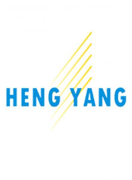 Hengyang Steel Fiber Co.,Limited