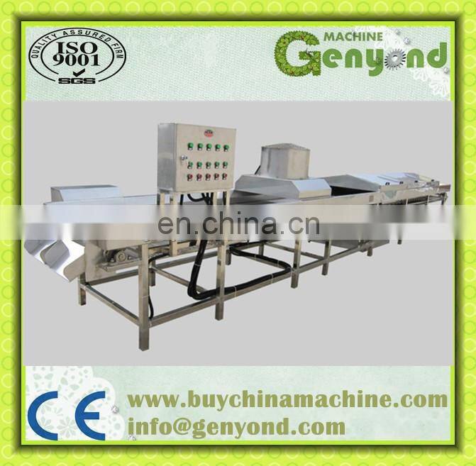 High Efficiency Potato Chips Blanching Machine with Good Price