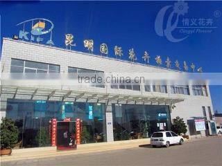 Kunming Qingyi Flower Gardening Co., Ltd. company overview - view 1