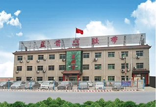 Hebei Lanjian Rubber Belts Co.,ltd company overview - view 1