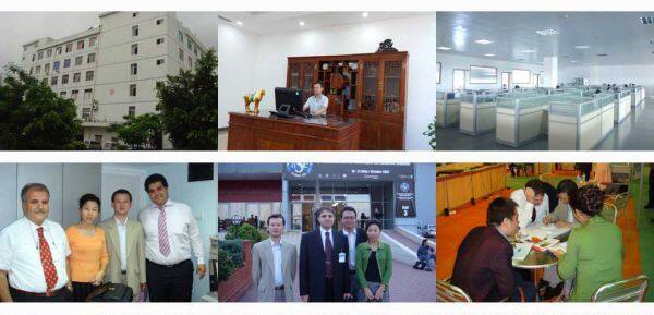 Wangline Corporation Limited company overview - view 1