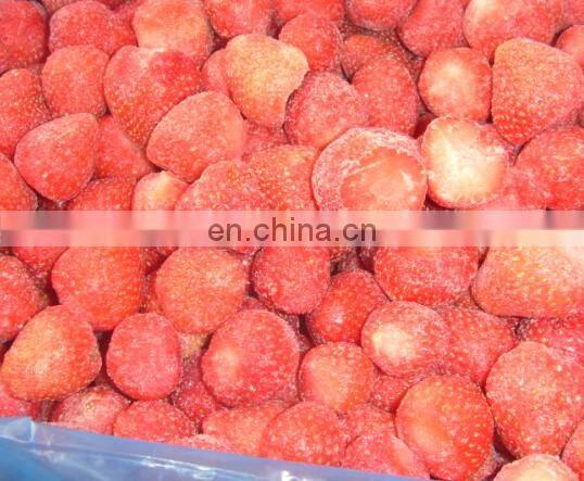 Fruit Vegetable IQF Quick Freezing Machine