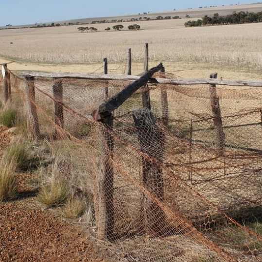 Types of Rabbit-Proof Fences.png