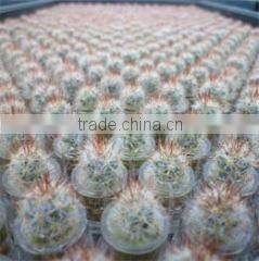 Bj Nature company overview - view 1