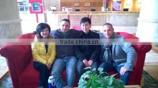 Chengdu Junli Lisaurus Tech Co., Ltd. company overview - view 3