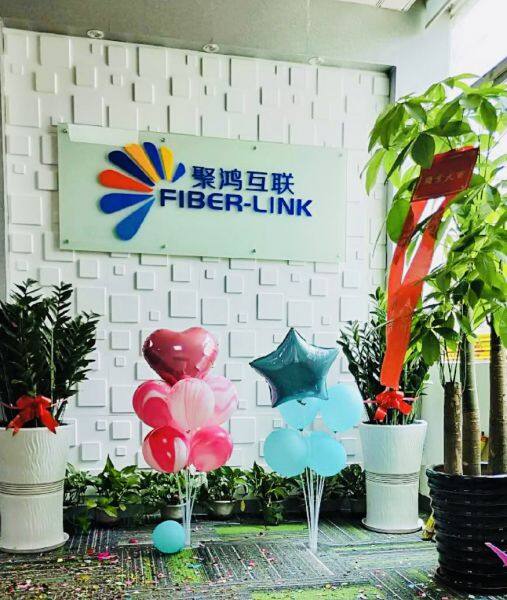 Shenzhen Fiber-Link Technology Co., Ltd. company overview - view 1