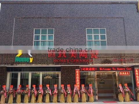 Foshan Homey Ceramics Co., Ltd. company overview - view 1