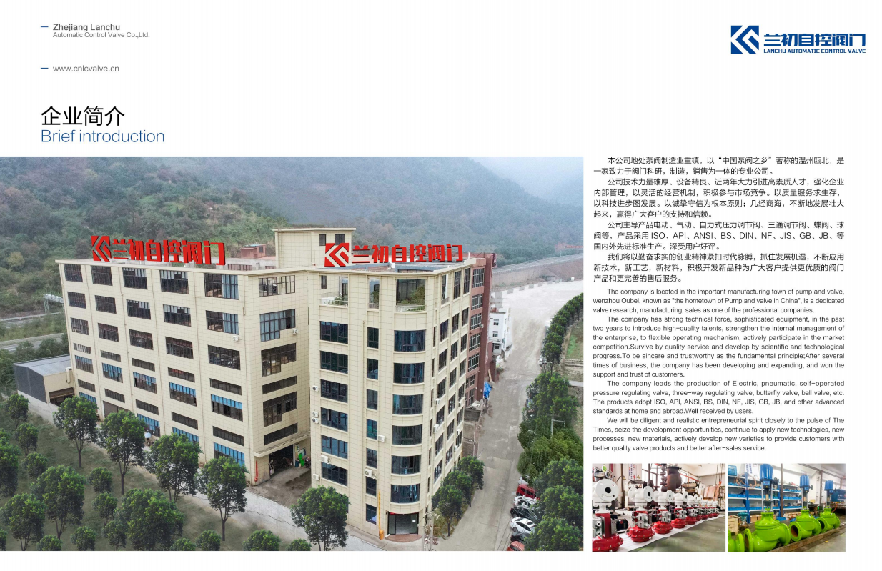 Lanchu Automatic Control Valve company overview - view 1