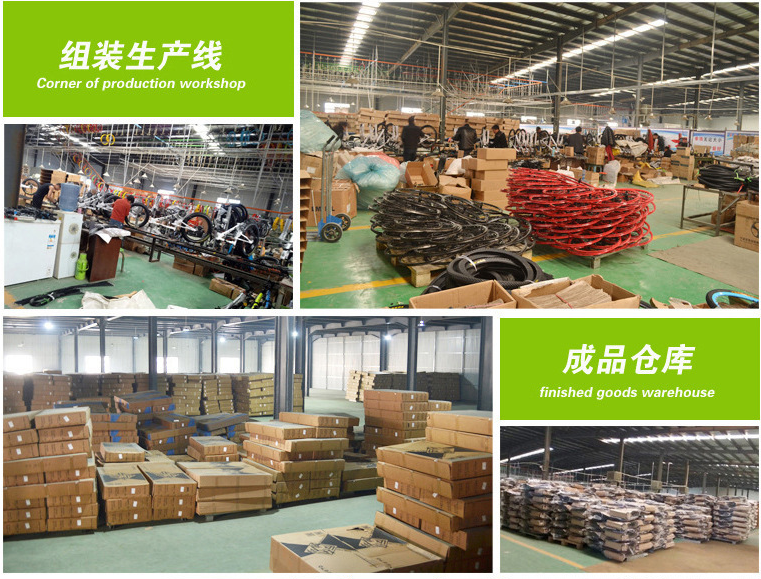 Hebei Shinmi Bicycle Co., Ltd. company overview - view 1