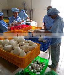 Thanh Dat Agricultural Seafood Processing Company Limited company overview - view 2