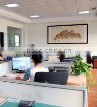 Shijiazhuang E-Feeling Import And Export Trading Co., Ltd. company overview - view 1