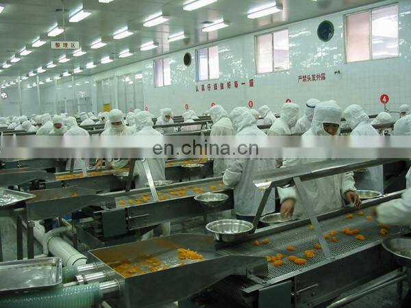 High efficiency canned mandarin orange processing plant / orange processing machine