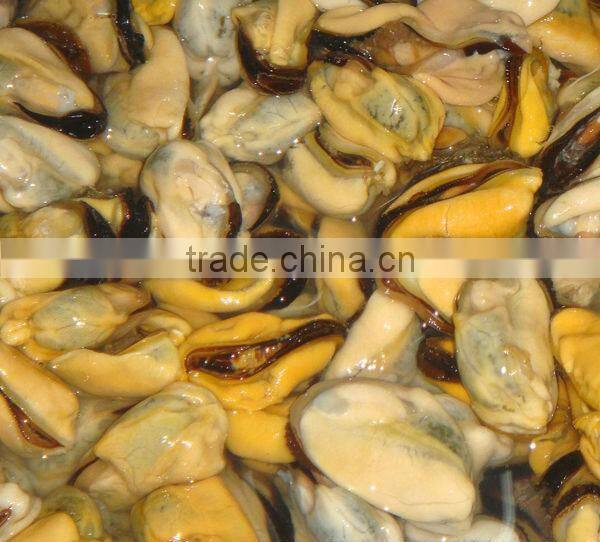 frozen cooked mussel without shell of mussel from China Suppliers