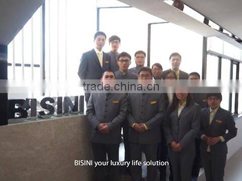 Bisini Furniture And Decoration Co., Ltd. company overview - view 1